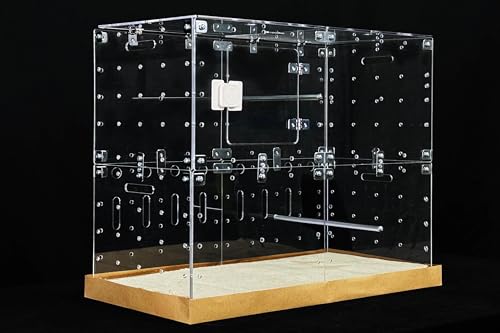 GuineaLoft™ Acrylic Cage (Modell-E) – Mehrstufiger 2x1ft geschlossener Käfig für Vögel, Meerschweinchen, Chinchillas, Kleintiere, verbindbar, DIY erweiterbar - Besuchen Sie den Guinea Loft Store von GuineaLoft