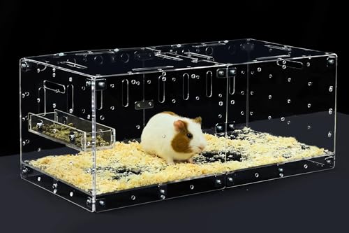 GuineaLoft™ Acrylkäfig (Modell-P) – 60x30cm geschlossener Käfig mit Deckel und Boden für EIN einzelnes Meerschweinchen oder Hamster, DIY-erweiterbar – Besuchen Sie den Guinea Loft Shop von GuineaLoft