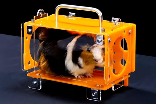 GuineaLoft™ Guinea Pig Cheese House (Single) V3 - Das ultimative Meerschweinchen-Versteck von erfahrenen Besitzern, die Alles ausprobiert haben - Exklusiv von Guinea Loft von GuineaLoft
