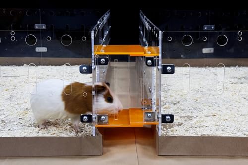 GuineaLoft™ Käfig-Verbindung (Version 2) – Verbindet Meerschweinchenkäfige durch Gänge, einfach einzusetzen, einfach zu entfernen, kann geschlossen Werden, fügt Platz und Strukturen hinzu von GuineaLoft