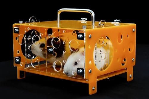 GuineaLoft™ Meerschweinchen-Käsehaus (Doppel) V2 – Die ultimative Meerschweinchen-Versteckstelle von erfahrenen Haltern, die Alles ausprobiert haben – Exklusiv von Guinea Loft von GuineaLoft