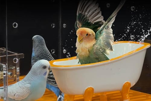 GuineaLoft™ Kleintier-Badewanne – Großzügig dimensionierte keramische Badewanne für Vogelduschen oder Hamstersandbäder, kann auch als Futter Bowl verwendet Werden – Besuchen Sie den GuineaLoft von GuineaLoft