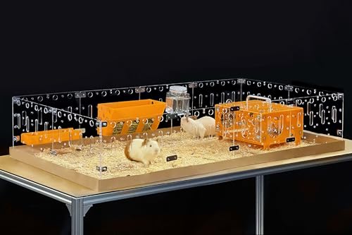 GuineaLoft™ Acrylic Cage (Modell-A) – Großer 1,2×0,6m offener Käfig für Meerschweinchen, Kaninchen, Wachteln, Igel, umherstreifende Kleintiere, DIY erweiterbar – Besuchen Sie den Guinea Loft Store von GuineaLoft