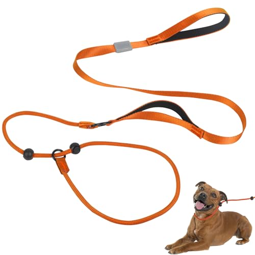 Retrieverleine für Hunde mit doppelten Kontrollgriffen, Hundeleine mit weichem Schaumstoff gepolstertem und klettertauglichem Nylonseil, verstellbare Stopperperlen für Training, Spaziergänge und von Guittly
