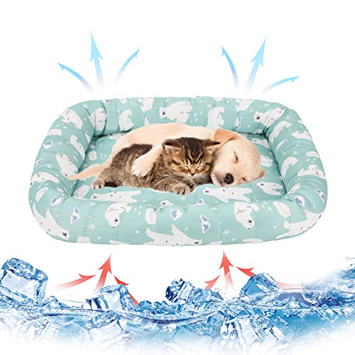 Gukasxi Haustier Kühlmatte Kühldecke für Sommer, Katzen Kühlende Haustiermatte Selbstkühlend Matte Waschbar Kühlpad, Haustier Eismatte Selbstkühlende Matte Für Katze Hamster Chinchilla Meerschweinchen Gukasxi Haustier Kühlmatte Kühldecke für Sommer, Katzen Kühlende Haustiermatte Selbstkühlend Matte Waschbar Kühlpad, Haustier Eismatte Selbstkühlende Matte Für Katze Hamster Chinchilla Meerschweinchen von Gukasxi