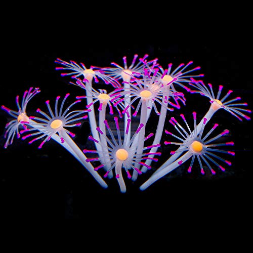 Ornamente Für Aquarien Silikon Glühendes Künstliches Aquarium Aquarium Korallenpflanzen Ornamente Wasser Dekor-Lila S. von Gulunmun