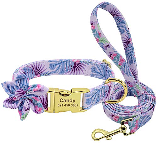 Personalisierte Hundehalsband-Leine Set Gedruckte Nylon-Halsbänder Leinen   Graviertes Typenschild für kleine mittelgroße Hunde-lila_M von Gulunmun