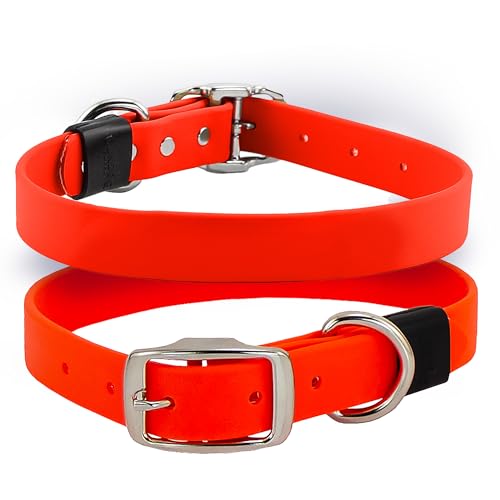 Orange Biothane Hundehalsband, strapazierfähig, wasserdicht und geruchsabweisend, passend für Halsumfang von 40,6 - 43,2 cm Orange Biothane Hundehalsband, strapazierfähig, wasserdicht und geruchsabweisend, passend für Halsumfang von 40,6 - 43,2 cm von Gun Dog Supply