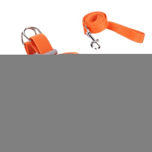 Gungtj Ausbruchssicheres Katzengeschirr, Verstellbares Katzengeschirr Für Spaziergänge, Haustier Zubehör Für Sicherheit Training Reisen Wandern Rucksack Outdoor Abenteuer Gungtj Ausbruchssicheres Katzengeschirr, Verstellbares Katzengeschirr Für Spaziergänge, Haustier Zubehör Für Sicherheit Training Reisen Wandern Rucksack Outdoor Abenteuer von Gungtj