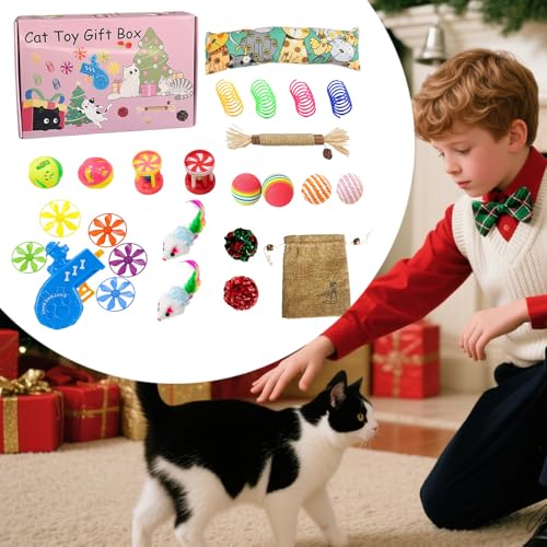 Gungtj Interaktives Katzen Spielzeug Ball - Interaktiver Ball Mit Weihnachtsmotiv Zum Anschleichen Für Kätzchen | Kratzfestes Trainingsspielzeug Für Kleine Mittlere Große Katzen Gungtj Interaktives Katzen Spielzeug Ball - Interaktiver Ball Mit Weihnachtsmotiv Zum Anschleichen Für Kätzchen | Kratzfestes Trainingsspielzeug Für Kleine Mittlere Große Katzen von Gungtj