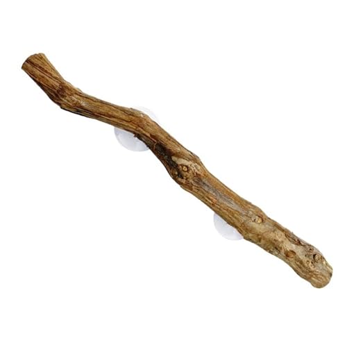 Gungtj Reptile Tank Decoration, Natural Terrarium Decor, Reptile Climbing Decor, Branches Snake Tanks, Bearded Dragon Climbing Accessories, Habitat Enhancements for Reptiles Gungtj Reptile Tank Decoration, Natural Terrarium Decor, Reptile Climbing Decor, Branches Snake Tanks, Bearded Dragon Climbing Accessories, Habitat Enhancements for Reptiles von Gungtj