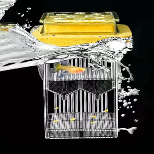 Guppy Breeder Box, schwimmender transparenter Rahmen, Schlüpfbox, Aquarium-Trennwand, Akklimatisierungskoffer, Wasserzüchter, Mutterbrutkasten für , 9,5 x 9,5 cm Guppy Breeder Box, schwimmender transparenter Rahmen, Schlüpfbox, Aquarium-Trennwand, Akklimatisierungskoffer, Wasserzüchter, Mutterbrutkasten für , 9,5 x 9,5 cm von Gungtj