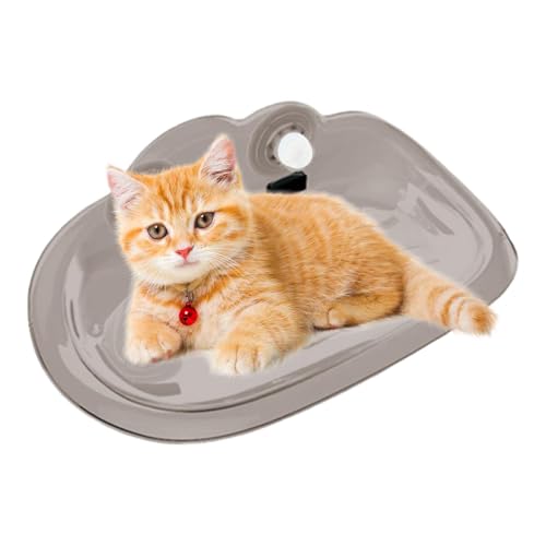 Katzenbett für den Innenbereich mit Saugnäpfen, Saugnapf-Hängematte für Katzen, Katzenbetten für Indoor-Katzen, stoßfeste Katzen-Sitzstange, Katzenfensterbank, Sonnenbaden-Katzenhängematte, Katzenbett für den Innenbereich mit Saugnäpfen, Saugnapf-Hängematte für Katzen, Katzenbetten für Indoor-Katzen, stoßfeste Katzen-Sitzstange, Katzenfensterbank, Sonnenbaden-Katzenhängematte, von Gungtj