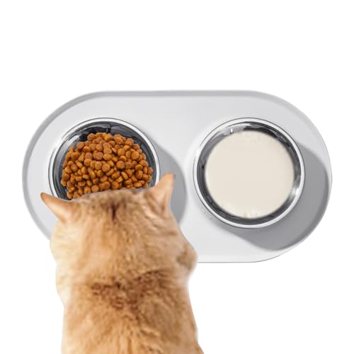 Pet Bowl, Anti Slip Feeding Dish with Silicone Mat, 6.34x9.13 Inches Waterproof Food and Water Tray for Dogs Cats, Spill Resistant Eating Plate Snack Time, Training, Home Use von Gungtj