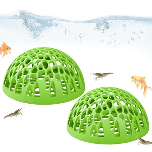 Shrimps Cave - 2 Stücke Betta Versteck für Fischtank, kleines Wasserleben mit sicherem Rückzug und natürliches Design, Garnelenzuchtunterkunft für Zuhause, Büros, Schule, Schreibtisch, Tropen, von Gungtj