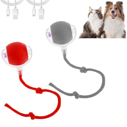 1/2 Stück interaktives Spielzeug für Katzen, interaktiver Ball für Hunde, elektrischer Ball für Zuhause, 4 Betriebsmodi, interaktives Spiel für Hunde und Katzen (rot-grau) von Guniata