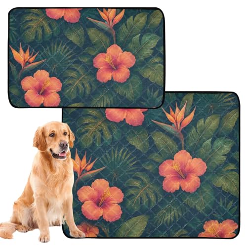 3 Stück Hunde-Teppich, wiederverwendbar, rutschfeste Matte für Strand, 50,8 x 61 cm, tropisches Muster, Glitzertapete 3 Stück Hunde-Teppich, wiederverwendbar, rutschfeste Matte für Strand, 50,8 x 61 cm, tropisches Muster, Glitzertapete von GuoChe