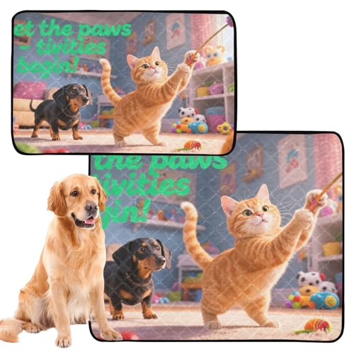 3 Stück Hunde-Urinierteppich, waschbar, rutschfeste Matte für Hunde fürs Auto, 50,8 x 61 cm, Let The Paws Activities Begin 3 Stück Hunde-Urinierteppich, waschbar, rutschfeste Matte für Hunde fürs Auto, 50,8 x 61 cm, Let The Paws Activities Begin von GuoChe