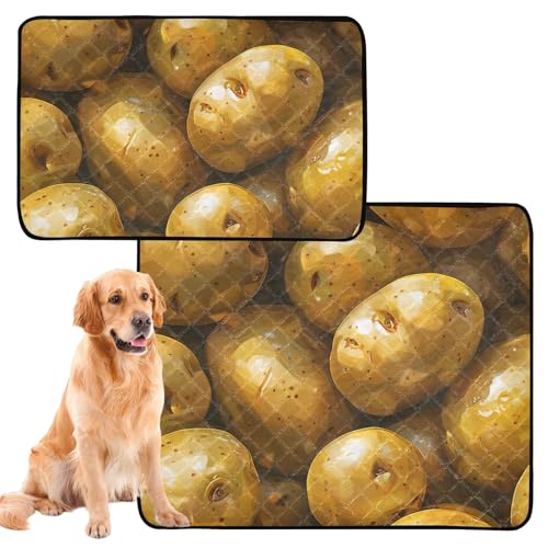 3 x Haustiermatte für Indoor-Katzen, rutschfeste Matte für Auto und Flugzeug, 50,8 x 61 cm, Olivenfruchtmuster von GuoChe