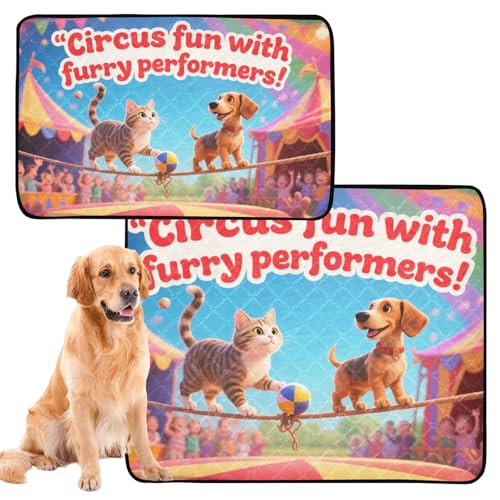 3 x pinkelsichere Hundematte, waschbar, rutschfeste Matte für Sofa, 50,8 x 61 cm, Zirkusspaß mit pelzigen Darstellern 3 x pinkelsichere Hundematte, waschbar, rutschfeste Matte für Sofa, 50,8 x 61 cm, Zirkusspaß mit pelzigen Darstellern von GuoChe