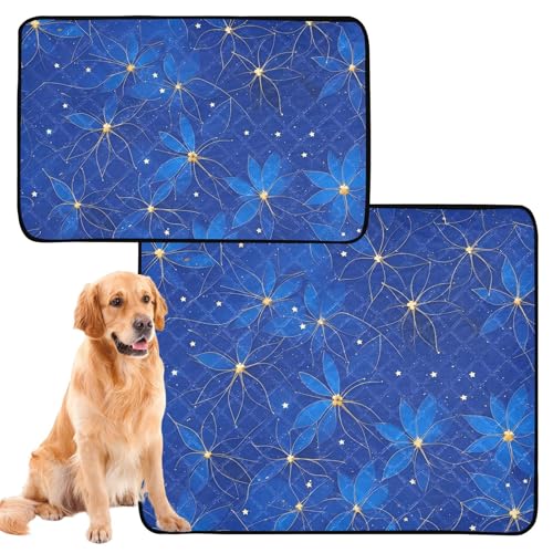 4uktwythqvwf5t0cz Uriniermatte für große Hunde, waschbar, rutschfest, für den Boden, 61 x 91,4 cm + 91,4 x 106,7 cm, Blau, Gold, 2 Stück von GuoChe