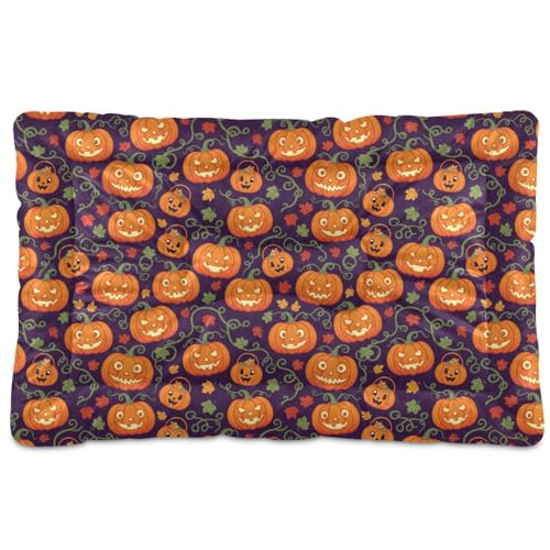 GuoChe Halloween Traditional Jack - O'- Lantern Nahtloses Muster Waschbar Hundehütte Pad Rutschfest Weich Bequem für mittelgroße / große Hunde 91,4 x 61 cm GuoChe Halloween Traditional Jack - O'- Lantern Nahtloses Muster Waschbar Hundehütte Pad Rutschfest Weich Bequem für mittelgroße / große Hunde 91,4 x 61 cm von GuoChe