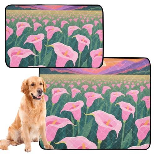 GuoChe Katzen-Haustiermatte für Hunde, schmutzige Füße, waschbar, rutschfest, 61 x 91,4 cm + 91,4 x 106,7 cm, schönes Calla-Lilienfeld, 2 Stück GuoChe Katzen-Haustiermatte für Hunde, schmutzige Füße, waschbar, rutschfest, 61 x 91,4 cm + 91,4 x 106,7 cm, schönes Calla-Lilienfeld, 2 Stück von GuoChe