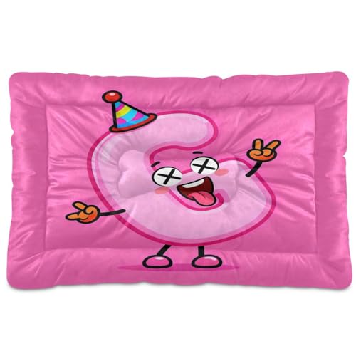 GuoChe Party Cartoon Buchstabe G Art waschbare Katzenhütte Pad weich rutschfest für mittelgroße und große Hunde 91,4 x 61 cm von GuoChe