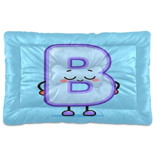 GuoChe Sleepy Hundehütte mit Cartoon-Buchstabe B, waschbar, weich, rutschfest, für große, mittelgroße und kleine Hunde, 91,4 x 61 cm GuoChe Sleepy Hundehütte mit Cartoon-Buchstabe B, waschbar, weich, rutschfest, für große, mittelgroße und kleine Hunde, 91,4 x 61 cm von GuoChe