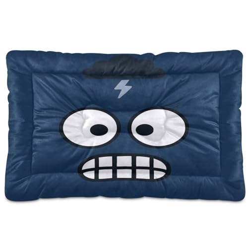 GuoChe Storm Cloud Hundekäfig-Matte, waschbar, rutschfest, weich, bequem, für große, mittelgroße und kleine Hunde, 91,4 x 61 cm GuoChe Storm Cloud Hundekäfig-Matte, waschbar, rutschfest, weich, bequem, für große, mittelgroße und kleine Hunde, 91,4 x 61 cm von GuoChe