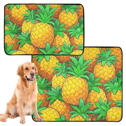 Hunde-Pads, waschbar, extra groß, für schlammige Füße, waschbar, rutschfest, 50,8 x 61 cm, Ananas-Wiederholung, Gelb, 3 Stück von GuoChe