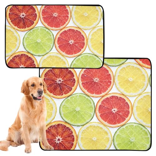 Hunde-Teppich, waschbar, rutschfest, für Autositz, 61 x 91,4 cm + 91,4 x 106,7 cm, Früchte, Zitrusfrüchte, 2 Stück Hunde-Teppich, waschbar, rutschfest, für Autositz, 61 x 91,4 cm + 91,4 x 106,7 cm, Früchte, Zitrusfrüchte, 2 Stück von GuoChe