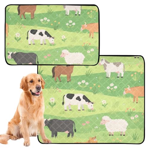 Hunde-Teppich für Hunde mit schmutzigen Füßen, waschbar, rutschfest, für Auto und Flugzeug, 50,8 x 61 cm, 3 Stück Hunde-Teppich für Hunde mit schmutzigen Füßen, waschbar, rutschfest, für Auto und Flugzeug, 50,8 x 61 cm, 3 Stück von GuoChe