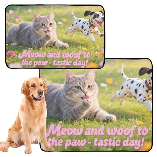 Hundedecke, Urinierschutz, groß, waschbar, rutschfest, für Autositz, 61 x 91,4 cm + 91,4 x 106,7 cm, 2 Stück Hundedecke, Urinierschutz, groß, waschbar, rutschfest, für Autositz, 61 x 91,4 cm + 91,4 x 106,7 cm, 2 Stück von GuoChe