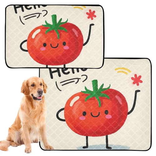 Hundematte, Urinierschutz, extra groß, waschbar, rutschfest, für draußen, 61 x 91,4 cm + 91,4 x 106,7 cm, Hello Cartoon, niedliche rote Tomate, 2 Stück Hundematte, Urinierschutz, extra groß, waschbar, rutschfest, für draußen, 61 x 91,4 cm + 91,4 x 106,7 cm, Hello Cartoon, niedliche rote Tomate, 2 Stück von GuoChe