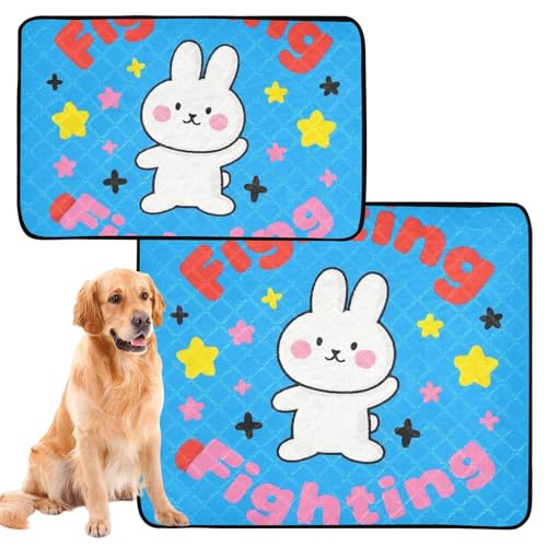 Hundematte, waschbar, rutschfest, für Reisen, 50,8 x 61 cm, 3 Stück Hundematte, waschbar, rutschfest, für Reisen, 50,8 x 61 cm, 3 Stück von GuoChe