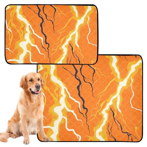 Hundematte, waschbar, rutschfeste Matte für Boden, 50,8 x 61 cm, 3 Stück von GuoChe