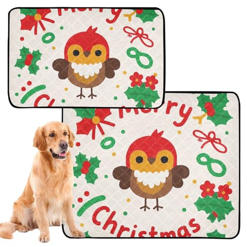 Hundematte für Hunde, Urinierschutz, wiederverwendbar, rutschfeste Matte für Hunde, für draußen, 61 x 91,4 cm + 91,4 x 106,7 cm, Frohe Weihnachten, Cartoon-Vogel, 2 Stück von GuoChe