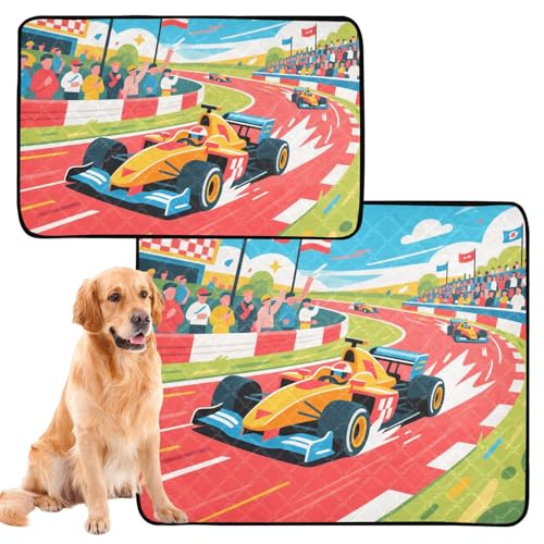 Hundematte für Hunde, schmutzige Füße, waschbar, rutschfest, für Sofa, 61 x 91,4 cm + 91,4 x 106,7 cm, Rennwagen, 2 Stück Hundematte für Hunde, schmutzige Füße, waschbar, rutschfest, für Sofa, 61 x 91,4 cm + 91,4 x 106,7 cm, Rennwagen, 2 Stück von GuoChe