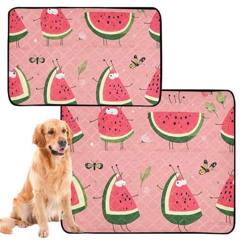 Hundematte für Hunde, waschbar, rutschfest, für Reisen, 50,8 x 61 cm, Wassermelonen-Muster, 3 Stück von GuoChe