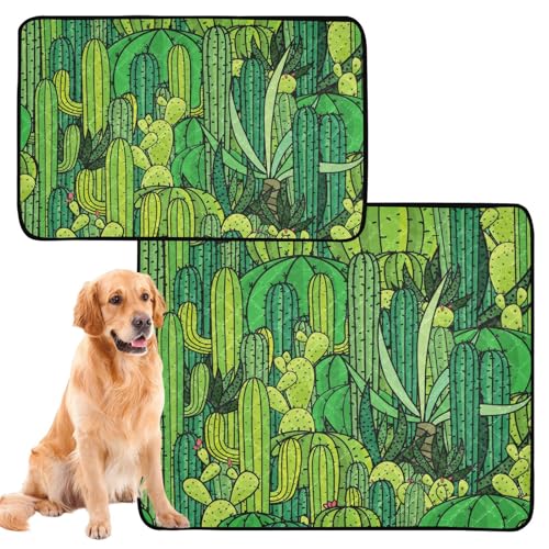 Hundematte für den Innenbereich, rutschfest, 61 x 91,4 cm + 91,4 x 106,7 cm, Grün, Western Mexicana, Kaktus, Pflanzen, personalisierbar, 2 Stück Hundematte für den Innenbereich, rutschfest, 61 x 91,4 cm + 91,4 x 106,7 cm, Grün, Western Mexicana, Kaktus, Pflanzen, personalisierbar, 2 Stück von GuoChe