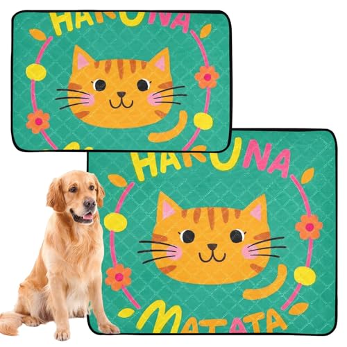 Hundematte für große Hunde, waschbar, rutschfest, 50,8 x 61 cm, Hakuna Matata Katzen-Design, 3 Stück Hundematte für große Hunde, waschbar, rutschfest, 50,8 x 61 cm, Hakuna Matata Katzen-Design, 3 Stück von GuoChe