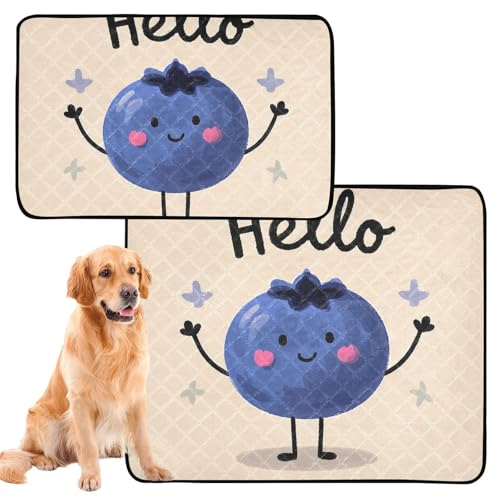 Katzen-Haustier-Matte, für Indoor-Katzen, rutschfest, für Auto, 61 x 91,4 cm + 91,4 x 106,7 cm, Hello Cartoon, niedlich, Blaubeere, 2 Stück Katzen-Haustier-Matte, für Indoor-Katzen, rutschfest, für Auto, 61 x 91,4 cm + 91,4 x 106,7 cm, Hello Cartoon, niedlich, Blaubeere, 2 Stück von GuoChe