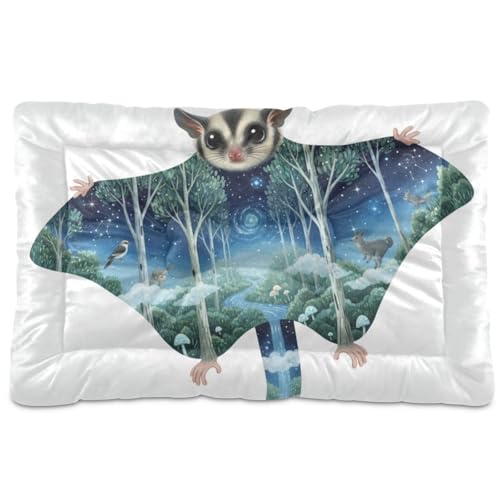 Sugar Glider Katzenhütte mit Eukalyptus-Safari-Collage, waschbar, weiche, bequeme, rutschfeste Unterseite, für große, mittelgroße und kleine Hunde, 91,4 x 61 cm von GuoChe