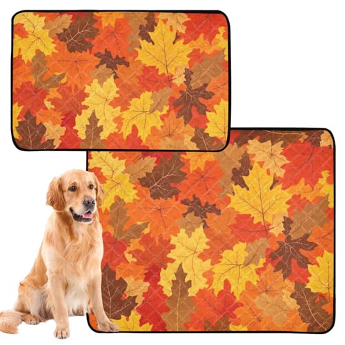 Uriniermatte für große Hunde, waschbar, rutschfest, Bodenmatte für Sofa, 61 x 91,4 cm + 91,4 x 106,7 cm, goldfarben, orangefarbener Ahorn, 2 Stück Uriniermatte für große Hunde, waschbar, rutschfest, Bodenmatte für Sofa, 61 x 91,4 cm + 91,4 x 106,7 cm, goldfarben, orangefarbener Ahorn, 2 Stück von GuoChe