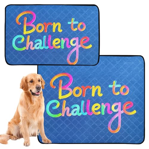 Wasserabsorbierende Matte für Hundenapf, Katze, Urinierunterlagen für Boden, Hund, rutschfest, für Reisen, 61 x 91,4 cm + 91,4 x 106,7 cm, buntes Wort "Born to Challenge", 2 Stück Wasserabsorbierende Matte für Hundenapf, Katze, Urinierunterlagen für Boden, Hund, rutschfest, für Reisen, 61 x 91,4 cm + 91,4 x 106,7 cm, buntes Wort "Born to Challenge", 2 Stück von GuoChe