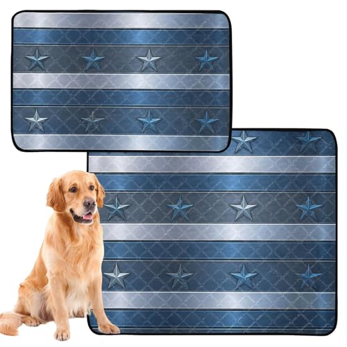 Wasserabsorbierende Matte für Hundenapf, waschbar, rutschfest, Teppich für Autositz, 61 x 91,4 cm + 91,4 x 106,7 cm, Metallic-Chrom, gestreift, 2 Stück Wasserabsorbierende Matte für Hundenapf, waschbar, rutschfest, Teppich für Autositz, 61 x 91,4 cm + 91,4 x 106,7 cm, Metallic-Chrom, gestreift, 2 Stück von GuoChe
