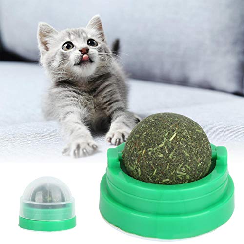 Guoenir Licking Treat Toy Katzenballspielzeug, grünes Katzenminzenballspielzeug, für Katzen Kätzchen Kätzchen Haustier von Asixxsix