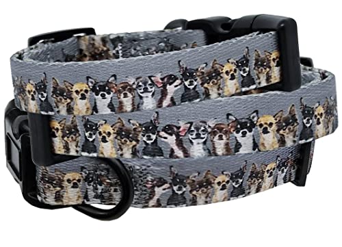 BGDesign Hundehalsband Chihuahua Halsband Nylon mit Chihuahua-Motiven grau-beige XS kleine Hunde klick Schnalle 1,5 cm breit 22 cm - 32 cm Halsumfang edel BGDesign Hundehalsband Chihuahua Halsband Nylon mit Chihuahua-Motiven grau-beige XS kleine Hunde klick Schnalle 1,5 cm breit 22 cm - 32 cm Halsumfang edel von Guoml
