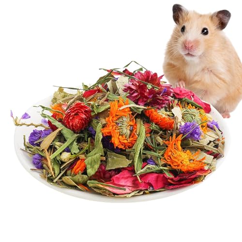 Gupcaqosjw Hamsterbettwäsche,Kleintierbettwäsche - Natürliche weiche Trockenblumen-Bettwäsche,Geruchskontrollgehege, Lebensraumdekoration für Kaninchen, Rennmäuse oder andere Kleintiere Gupcaqosjw Hamsterbettwäsche,Kleintierbettwäsche - Natürliche weiche Trockenblumen-Bettwäsche,Geruchskontrollgehege, Lebensraumdekoration für Kaninchen, Rennmäuse oder andere Kleintiere von Gupcaqosjw